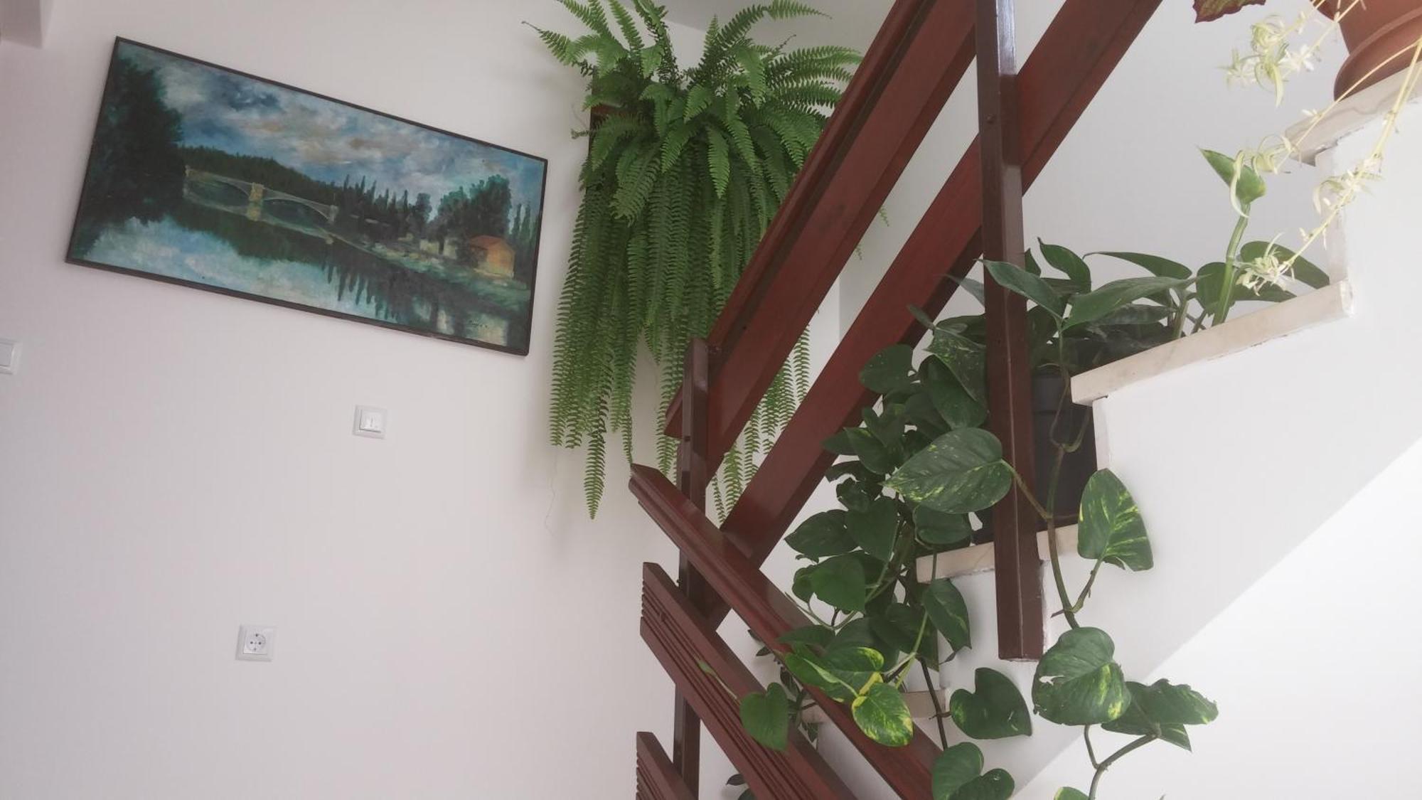 Apartments Roncevic Zadar Phòng bức ảnh