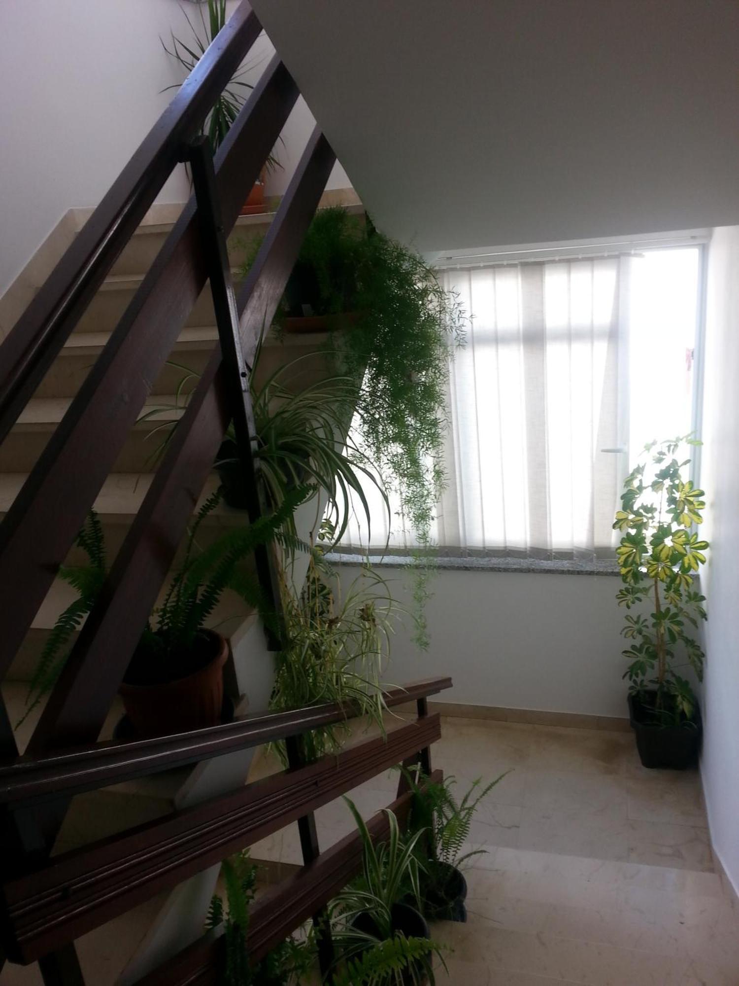 Apartments Roncevic Zadar Ngoại thất bức ảnh